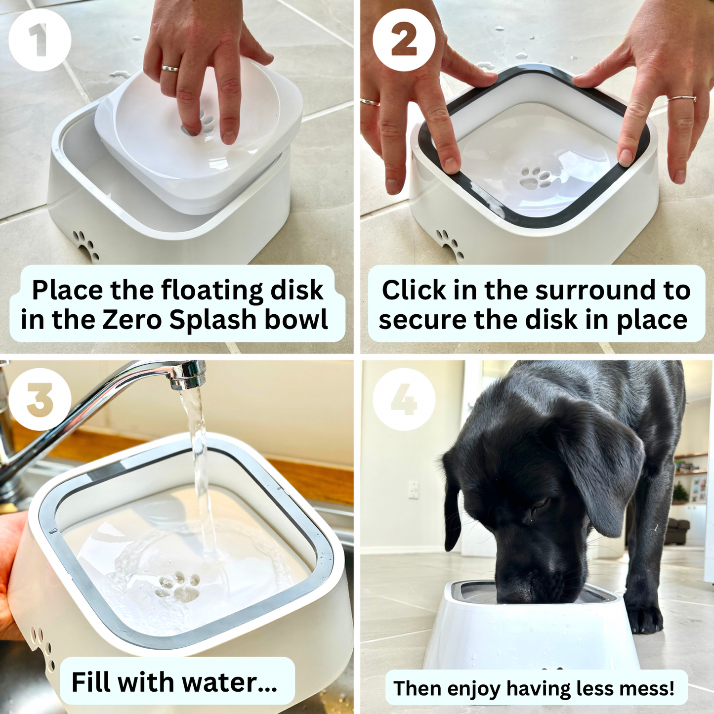 Dog's Durable Plastic Water Bowl | Innovative Non-Splash Spill-Proof Design 3