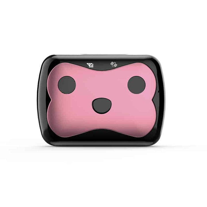 Dog's GPS Tracking Collar | Waterproof Real-Time Location Device 0