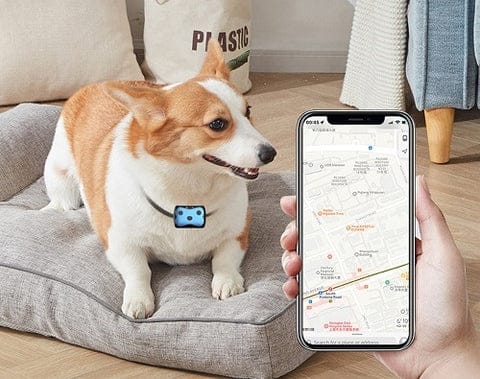 Dog's GPS Tracking Collar | Waterproof Real-Time Location Device 5