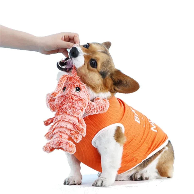 Dog's Interactive Plush Toy | Durable Engaging Lobster Design 4
