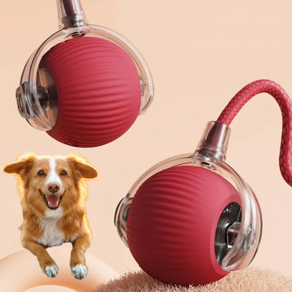 Dog's Interactive Rolling Ball Toy | Motion-Based Fun for Active Play 0