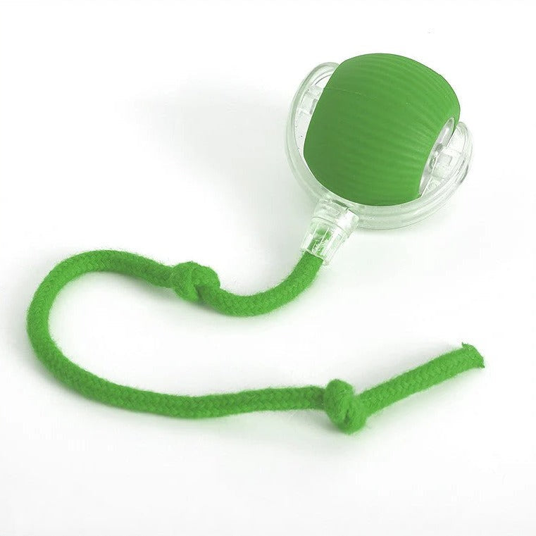 Dog's Interactive Rolling Ball Toy | Motion-Based Fun for Active Play 1