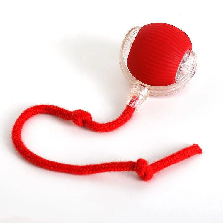 Dog's Interactive Rolling Ball Toy | Motion-Based Fun for Active Play 8