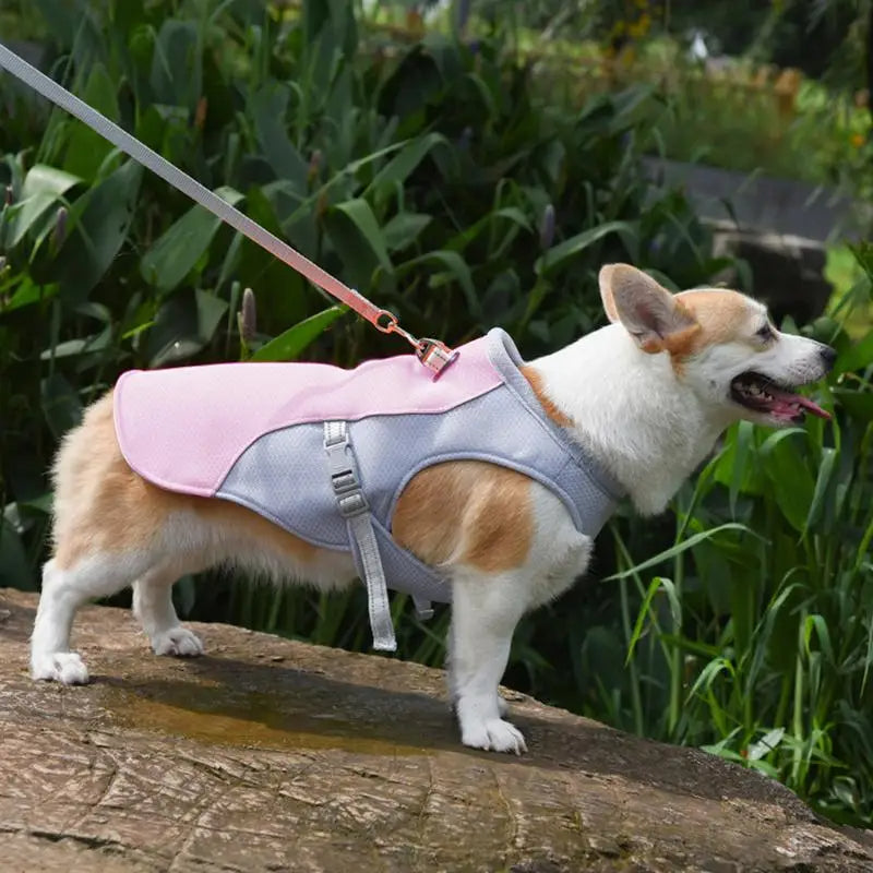 Dog's Lightweight Polyester Cooling Vest | Breathable Stylish Summer Jacket 1