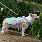 Dog's Lightweight Polyester Cooling Vest | Breathable Stylish Summer Jacket 2