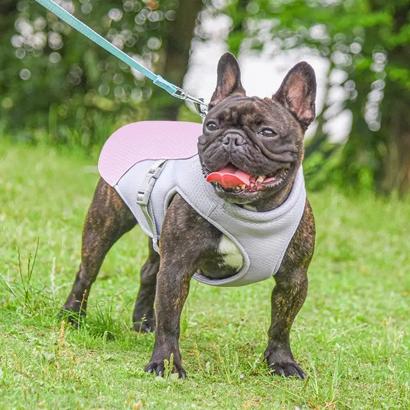 Dog's Lightweight Polyester Cooling Vest | Breathable Stylish Summer Jacket 3