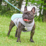 Dog's Lightweight Polyester Cooling Vest | Breathable Stylish Summer Jacket 4