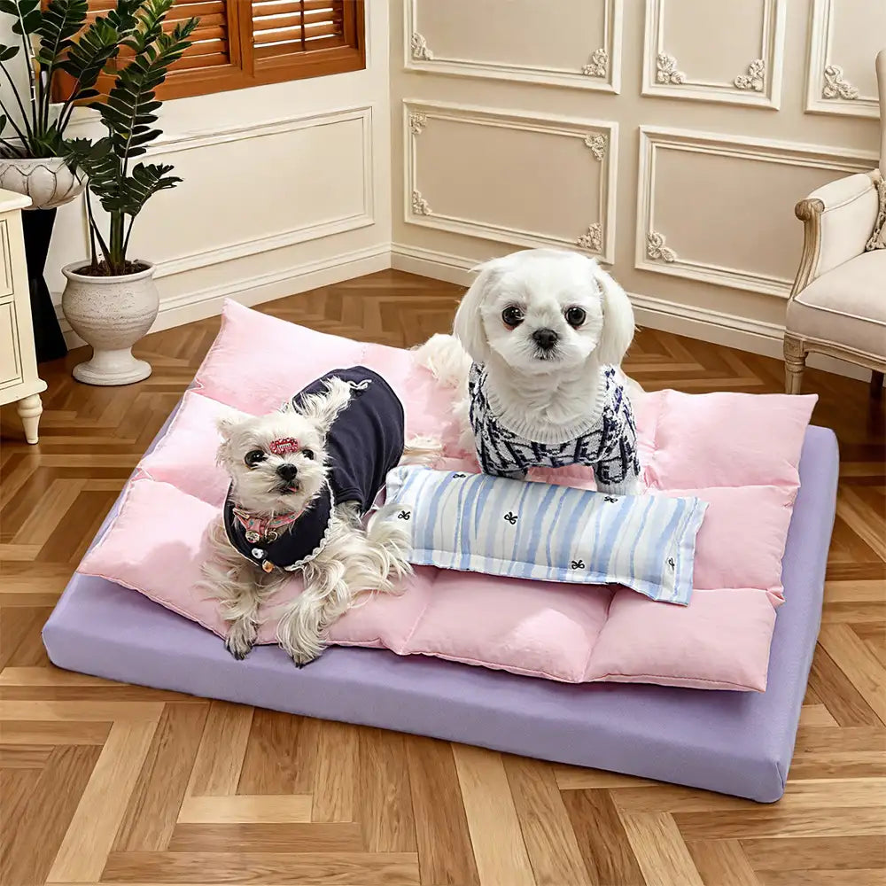 Dog's Multi-Functional Polyester Dog Bed | Comfortable Water-Repellent Cushion 1