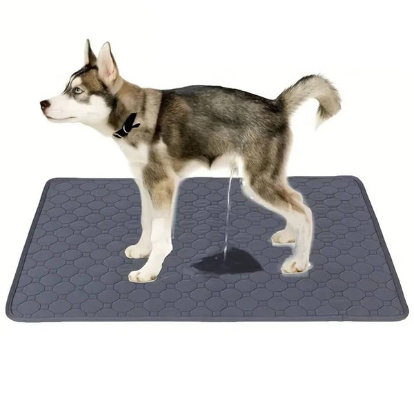 Dog's Multi-Layered Absorbent Pee Pads | Durable Disposable and Reusable Training Pads 0