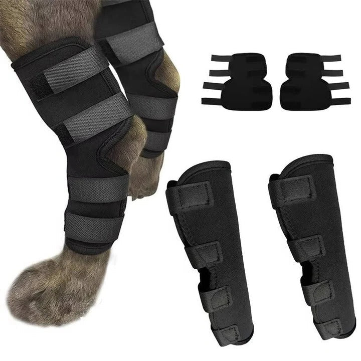Dog's Neoprene Leg Brace | Supportive Joint Stabilizer for Mobility 2