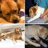 Dog's Neoprene Leg Brace | Supportive Joint Stabilizer for Mobility 3