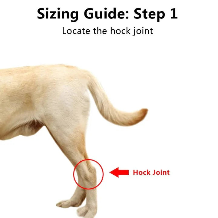 Dog's Neoprene Leg Brace | Supportive Joint Stabilizer for Mobility 4