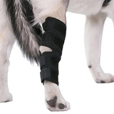 Dog's Neoprene Leg Brace | Supportive Joint Stabilizer for Mobility 5