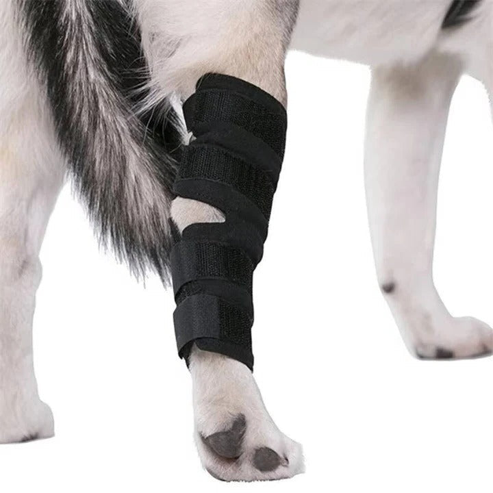Dog's Neoprene Leg Brace | Supportive Joint Stabilizer for Mobility 5