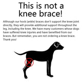 Dog's Neoprene Leg Brace | Supportive Joint Stabilizer for Mobility 7