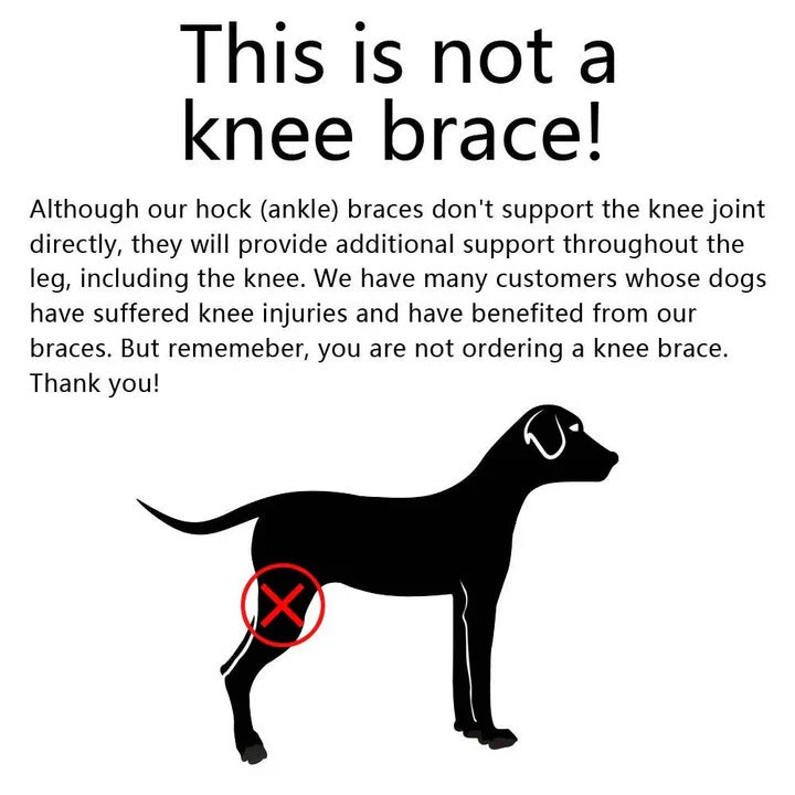 Dog's Neoprene Leg Brace | Supportive Joint Stabilizer for Mobility 7