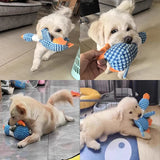 Dog's Plush Chew Toy | Soft Interactive Squeaker for Playtime 1