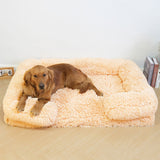 Dog's Plush Supportive Pet Bed | Soft Surrounding Comfort for Deep Sleep 1