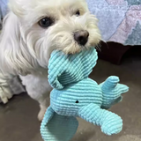 Dog's Plush Toy | Soft Chewable Elephant | Interactive Fun 3