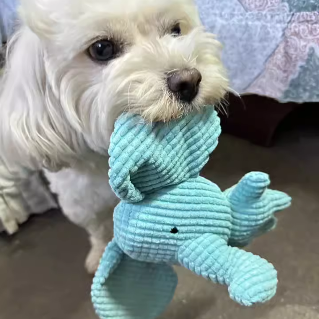Dog's Plush Toy | Soft Chewable Elephant | Interactive Fun 3