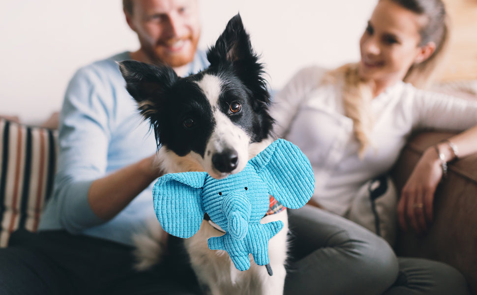 Dog's Plush Toy | Soft Chewable Elephant | Interactive Fun 4