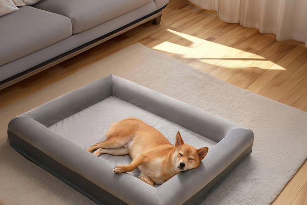 Dog's Premium Suede Orthopedic Bed | Luxurious Comfortable Supportive Sleeping Solution 0