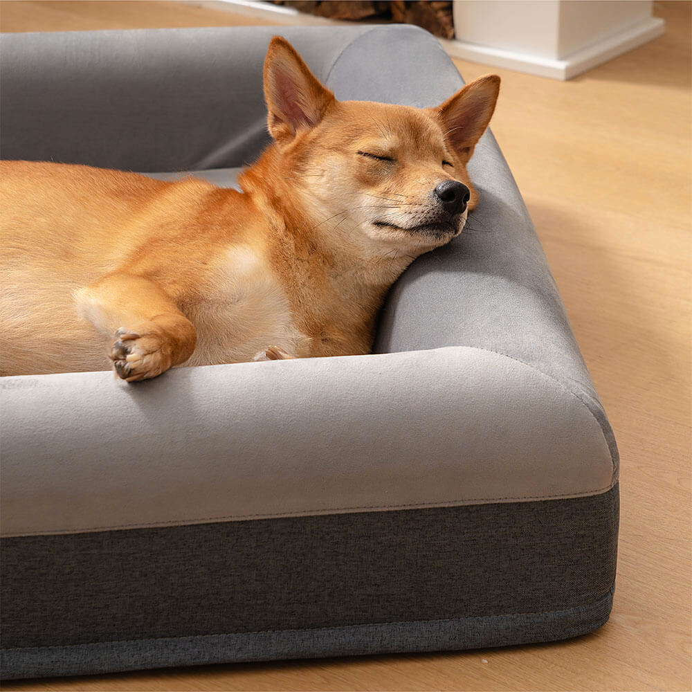 Dog's Premium Suede Orthopedic Bed | Luxurious Comfortable Supportive Sleeping Solution 4
