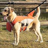 Dog's Shark-Themed Float Jacket | Adjustable Buoyancy Life Vest 7