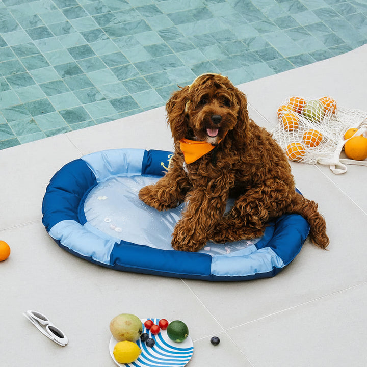 Dog's Water-Filled Cooling Mat | Soft PVC Summer Relief Bed 0