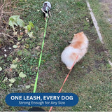 Dual Retractable Dog Leash | 10FT with Built-In Flashlight and Waste Bag Holder | Tangle-Free Design 7