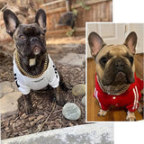Durable Heavy-Duty Dog Collar | Solid Links for Strong Dogs | Long-Lasting Non-Adjustable Design 2