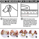 Durable Heavy-Duty Dog Collar | Solid Links for Strong Dogs | Long-Lasting Non-Adjustable Design 3