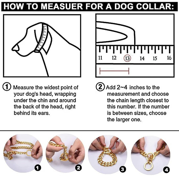 Durable Heavy-Duty Dog Collar | Solid Links for Strong Dogs | Long-Lasting Non-Adjustable Design 3