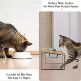 Elevated Cat Bowl | Stainless Steel Feeding Station | Modern Minimalist Design 3