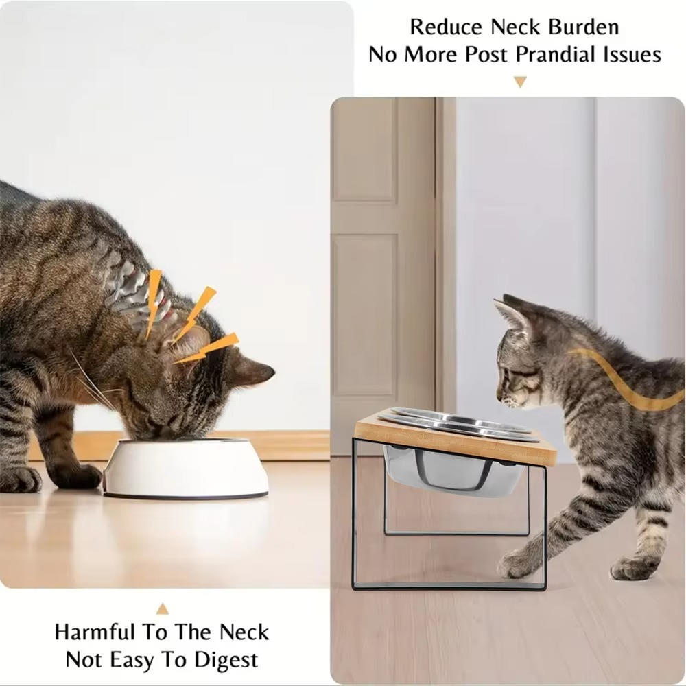 Elevated Cat Bowl | Stainless Steel Feeding Station | Modern Minimalist Design 3