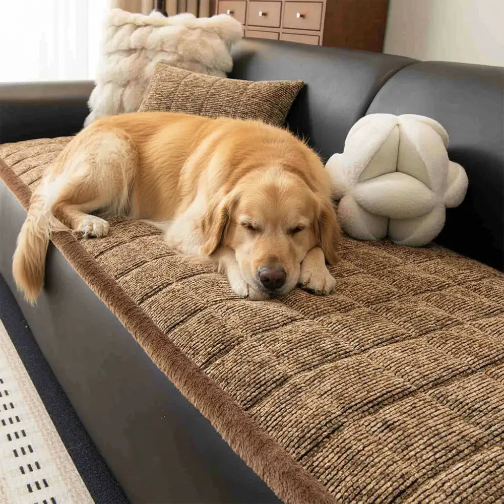 Pet-Friendly Chenille Textured One-Piece Non-Slip Waterproof Couch Cover with Frayed Edges