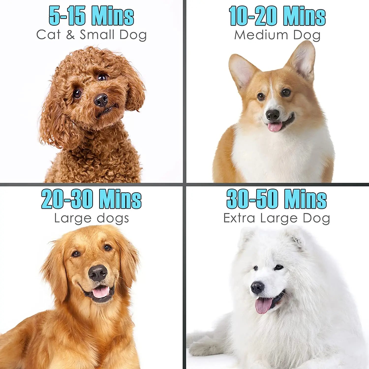 High Velocity Dog Dryer | Adjustable Heat Pet Blow Dryer | Efficient Quiet Grooming Tool 4