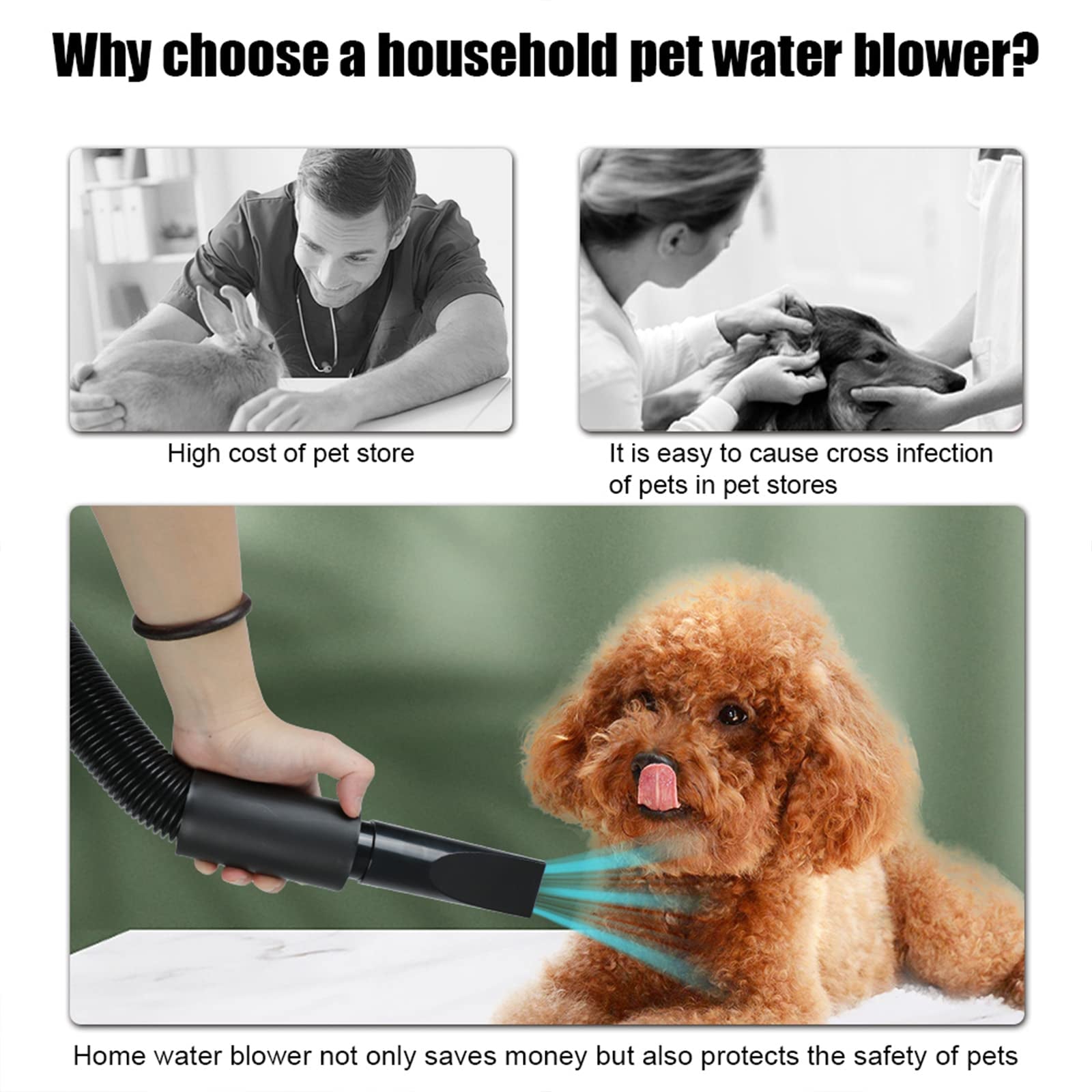High Velocity Dog Dryer | Adjustable Heat Pet Blow Dryer | Efficient Quiet Grooming Tool 5