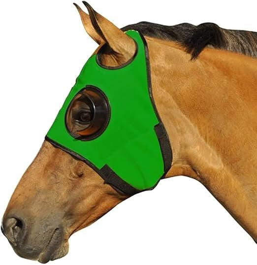 Horse Blinders | Stretchable Quarter Cup Design for Focused Riding 1