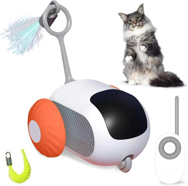 Interactive Cat Toy | Dual Mode Remote Control with Infrared Sensors | Fun and Engaging 0