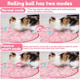 Interactive Cat Toy | Smart Rolling Ball with Engaging Features 2