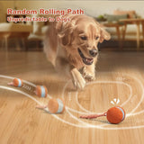 Interactive Dog Toy | Automatic Rolling Ball with Rope | Engaging and Durable 1