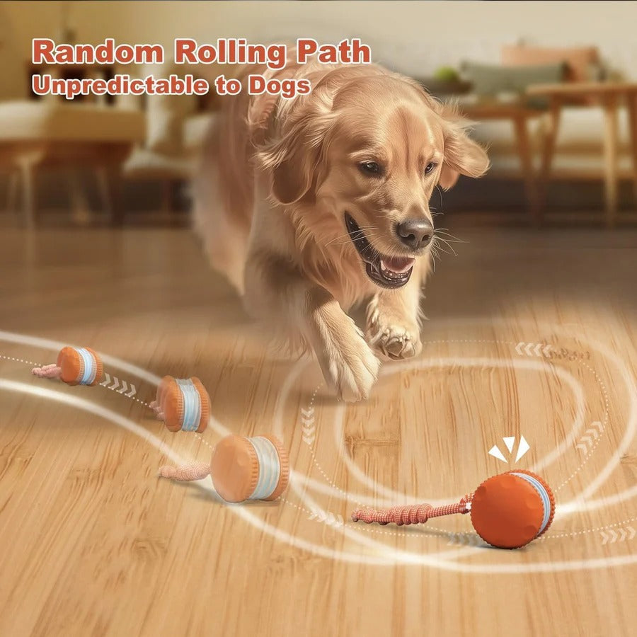 Interactive Dog Toy | Automatic Rolling Ball with Rope | Engaging and Durable 1