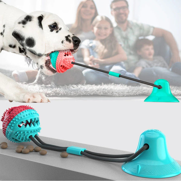 Interactive Dog Toy | Durable Rubber Suction Play Accessory | Engaging Chew Toy 0