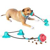 Interactive Dog Toy | Durable Rubber Suction Play Accessory | Engaging Chew Toy 1