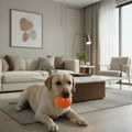 Interactive Dog Toy | Rubber Automatic Moving Ball | Engaging and Durable