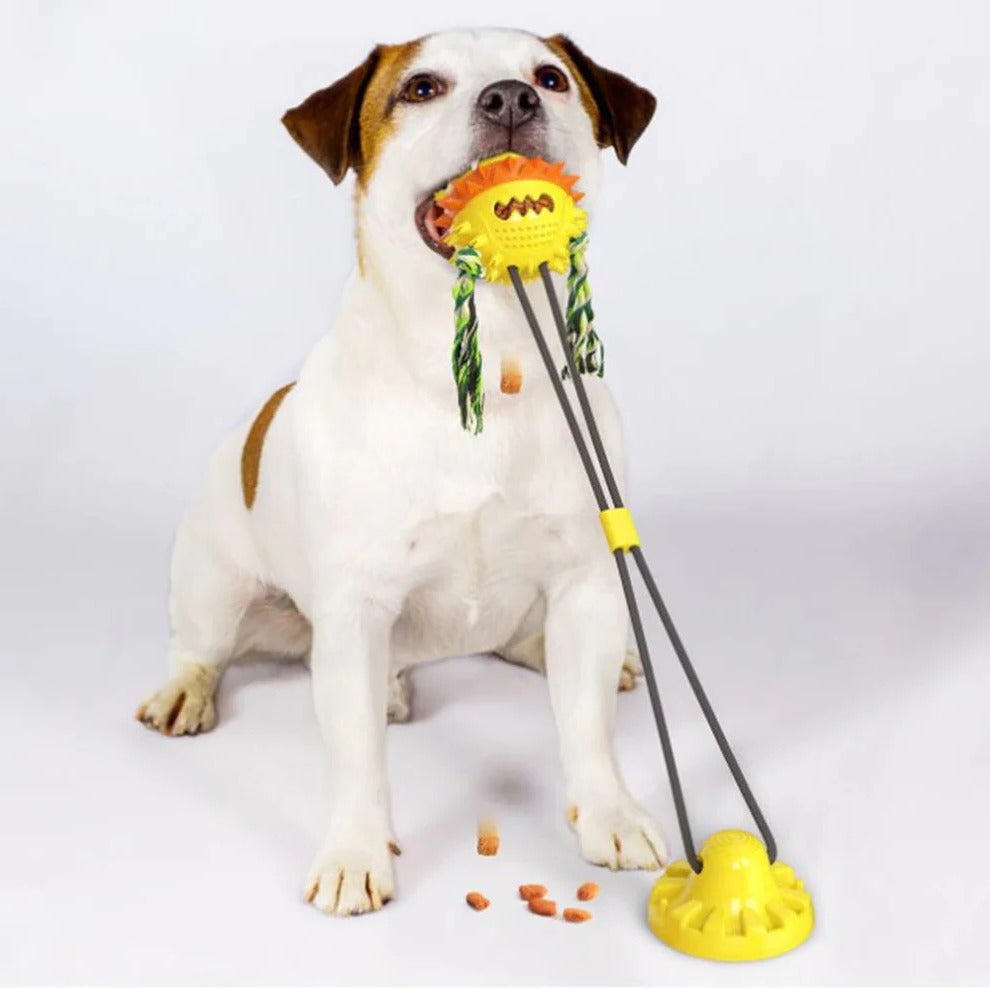 Interactive Dog Toy | Self-Moving Engaging Chew Toy for All Sizes | Fun and Durable Pet Play 7