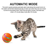 Interactive Dog Toy | Smart Remote-Controlled Ball | Fun and Colorful Playtime 2