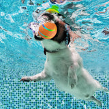 Interactive Dog Toy | Smart Remote-Controlled Ball | Fun and Colorful Playtime 6