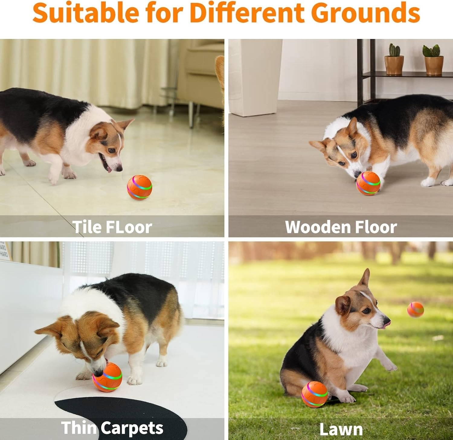 Interactive Dog Toy | Smart Remote-Controlled Ball | Fun and Colorful Playtime 7